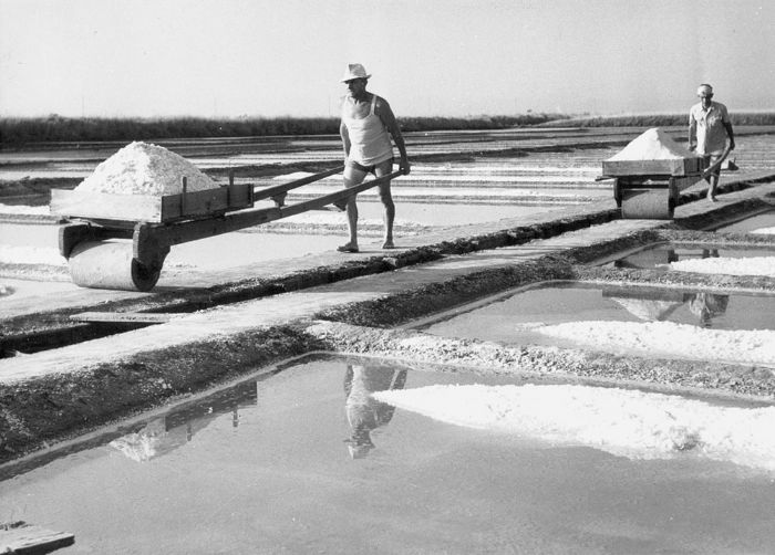 INSIEME PER LA SALINA DI CERVIA